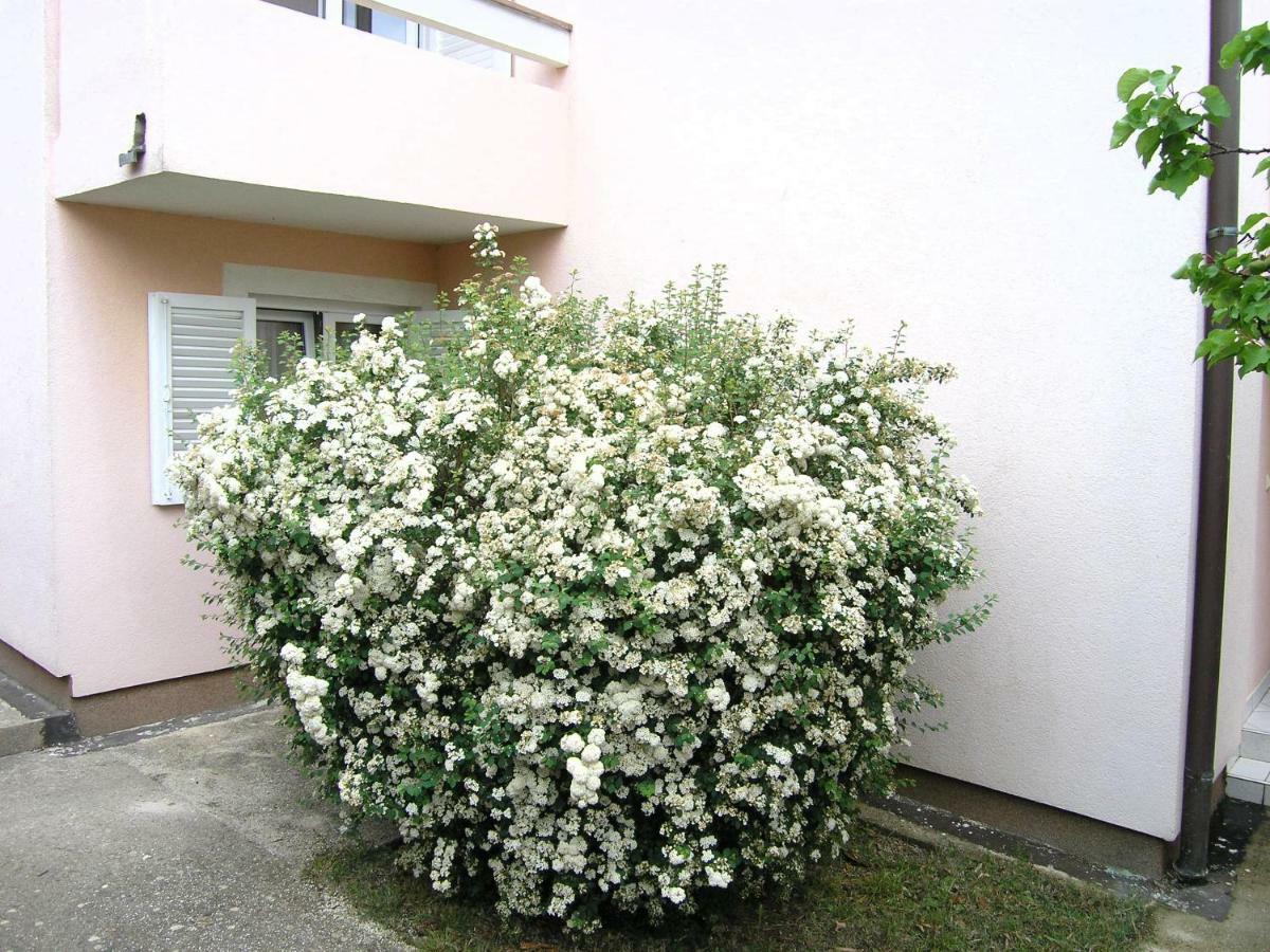 Apartments Sokolović Krk Town Zewnętrze zdjęcie